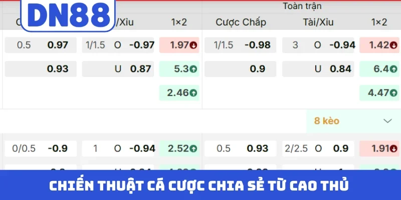 Chiến thuật cá cược chia sẻ từ cao thủ